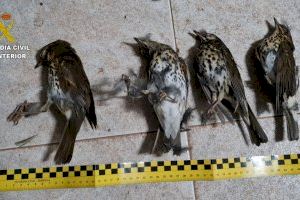 Investigan a diez vecinos de Castellón por caza ilegal de aves