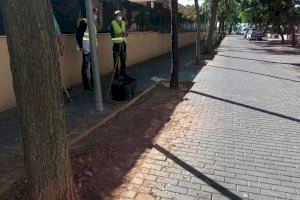 Paterna inicia el relleno con caucho de otros 1.150 alcorques más que mejorarán la limpieza y la accesibilidad peatonal