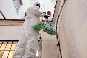 València inicia els treballs de neteja de patis amb habitatges ocupats a Orriols