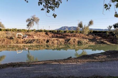 La Confederación Hidrográfica del Xúquer inicia los trabajos de mejora de la vegetación de ribera en el Xúquer a su paso Polinyà de Xúquer y Alzira