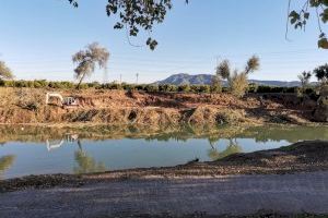 La Confederació Hidrogràfica del Xúquer inicia els treballs de millora de la vegetació de ribera en el Xúquer al seu pas Polinyà de Xúquer i Alzira