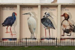 La plaza Llotgeta luce un nuevo mural dedicado a las aves del Parc Natural de l’Albufera