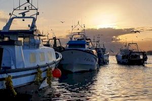La Vila Joiosa presenta el proyecto Pesca Turismo