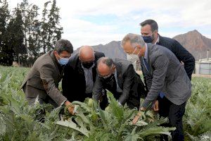 Mazón: “La visita de la ministra Ribera a Alicante es una burla a los regantes y agricultores de la provincia”