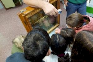 “Les abelles van a escola": tallers per a acostar als xiquets els seus beneficis