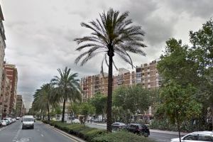 Accident mortal a València: un mort després de xocar amb un vianant borratxo