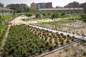 València instal·larà càmeres al Parc Central per evitar actes vandàlics