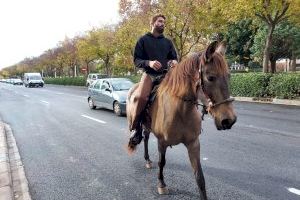 Final feliz para el ganadero valenciano que recorrió 50 km a caballo hasta la Conselleria