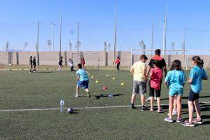 La Junta de Govern Local aprova l'activació dels mòduls de grup i coordinació del Programa de l'Esport en Edat Escolar