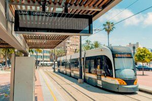 Alerta als canvis de tramvia diumenge a València amb motiu de la Marató Trinidad Alonso