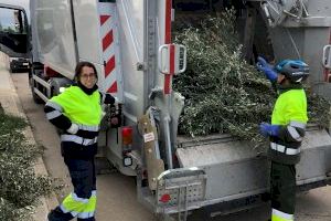L'Ajuntament de Llíria aposta per un Centre Especial d'Ocupació per a dur a terme els serveis de recollida de poda