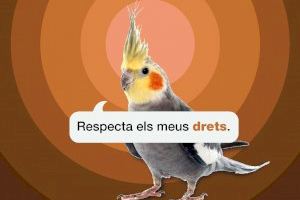 "Respecta els meus drets", nova campanya de l'Ajuntament d'Alaquàs per a celebrar el Dia Internacional dels Drets dels Animals