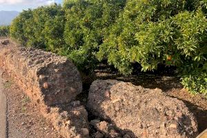 Betxí adquireix la bassa seca d'origen romà per 20.600 euros