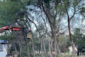 El Ayuntamiento de la Vila Joiosa recuperará para el uso público la zona verde del antiguo camping de la Cala