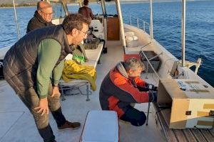 Oropesa del Mar avanza en el estudio del litoral con los trabajos de batimetría y cartografía