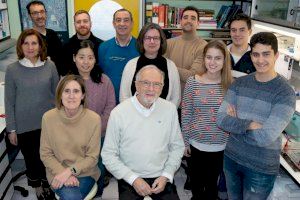 El equipo de Luis Enjuanes, Isabel Sola y Sonia Zúñiga en el laboratorio de coronavirus del CNB-CSIC / CSIC