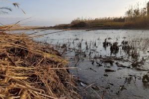 Finaliza la primera parte de las obras de recuperación de la Gola Norte del Paisaje Protegido de la Desembocadura del río Mijares