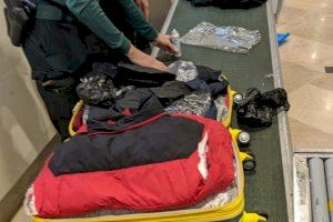 Detingut a l'aeroport de València amb més de tretze quilos de cocaïna a la maleta