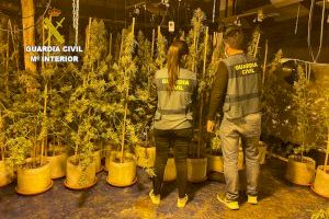 La Guardia Civil desmantela una macroplantación de marihuana en una nave de Picassent