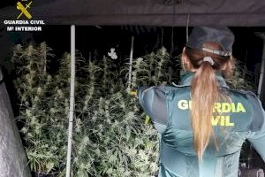 Desmantelan dos plantaciones dedicadas al cultivo “indoor” de marihuana en chalets de lujo de Calpe