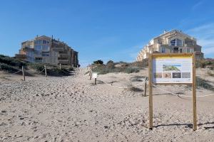 Les platges del Perellonet incorporen cartells informatius sobre el valor del sistema dunar