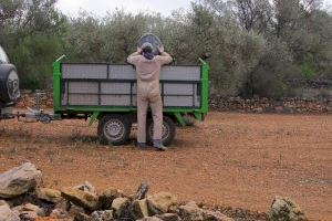 Agricultors i ramaders de 138 municipis valencians es quedaran sense ajudes