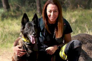 València asume los gastos de alimentación y veterinario de los perros adscritos a la Unidad Canina de Rescate de los Bomberos