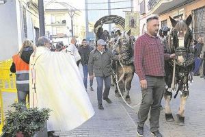 El Ayuntamiento de Moncofa celebra este sábado el tradicional desfile de mascotas con motivo de Sant Antoni