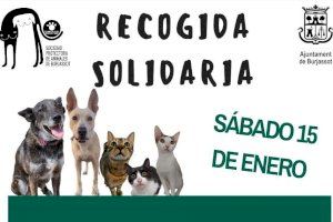 Primera recogida solidaria del año de la Protectora de Animales de Burjassot