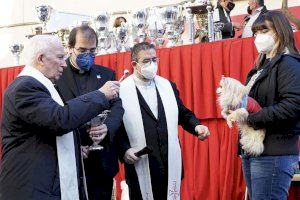 Valencia acoge la tradicional bendición de animales en honor a San Antonio Abad