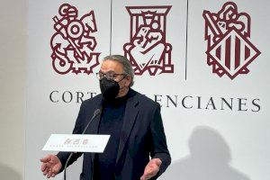 El síndic del PSPV-PSOE en Les Corts Valencianes, Manolo Mata
