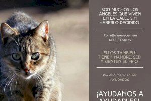 La SPAB solicita la colaboración ciudadana para la atención de las colonias felinas de Burjassot