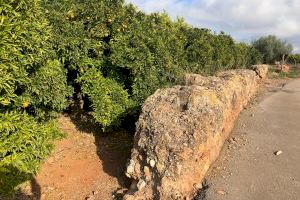 Betxí inicia el procés de protecció de la Bassa Seca