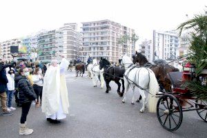Amplia participación de mascotas en el pasacalle para honrar a Sant Antoni en Burriana, pese al mal tiempo