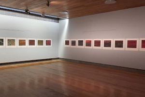 El Museu de Belles Arts de Castelló mostra els treballs de l’artista i galerista Pilar Dolz
