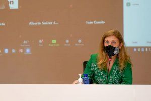 Castelló adjudica la redacción del proyecto e impulsa el ARRUR Castalia-La Guinea