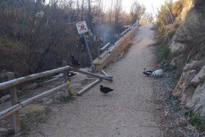 Sucesivos actos vandálicos en el cauce del río de este municipio de Alicante