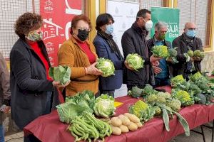 La campaña de hortalizas de invierno del Camp d´Elx superará este año los 21,5 millones de kilos