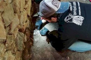 Una intervención en la Cova de les Morretes de Benitatxell saca a la luz un tesorillo del siglo XIX y evidencias de hábitat desde el siglo XVII