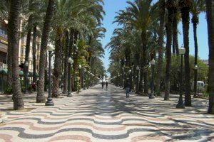 Alicante afronta la recuperación con los presupuestos más sociales y expansivos de su historia con 313 millones de euros