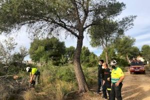 L'Ajuntament d'Alcalà-Alcossebre actualitza el Pla de Prevenció d'Incendis i el Pla Local de Cremes