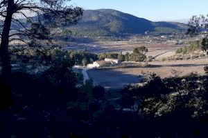 Alcoi aconsegueix una subvenció de 50.000 de Diputació per a la millora forestal en la muntanya Mas de la Cova i pintures rupestres de la Sarga