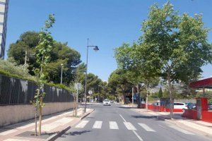 Benicàssim repondrá 130 árboles en alcorques y espacios verdes municipales