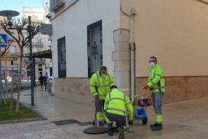 L'Ajuntament de Vinaròs aplica tractaments contra les paneroles i rosegadors