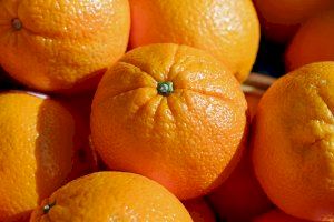 Mollà celebra la decisión europea de aplicar el tratamiento en frío a las naranjas importadas