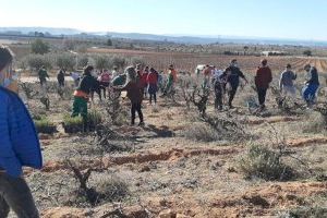 Requena celebra el día del árbol con la plantación de ejemplares por parte de escolares de la localidad