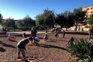 Alcalà-Alcossebre celebra el Día del Árbol con la plantación de 480 ejemplares