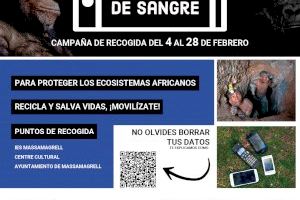 El IES Massamagrell secunda la campaña “Movilízate por la selva”
