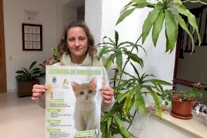 L'Ajuntament d'Alcalà-Alcossebre organitza una jornada de formació sobre el mètode CER en les colònies felines