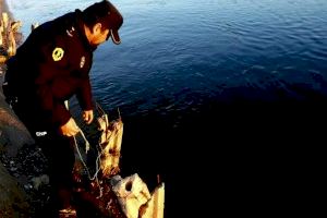 La Policía autonómica caza en la Albufera a 20 pescadores furtivos de anguilas